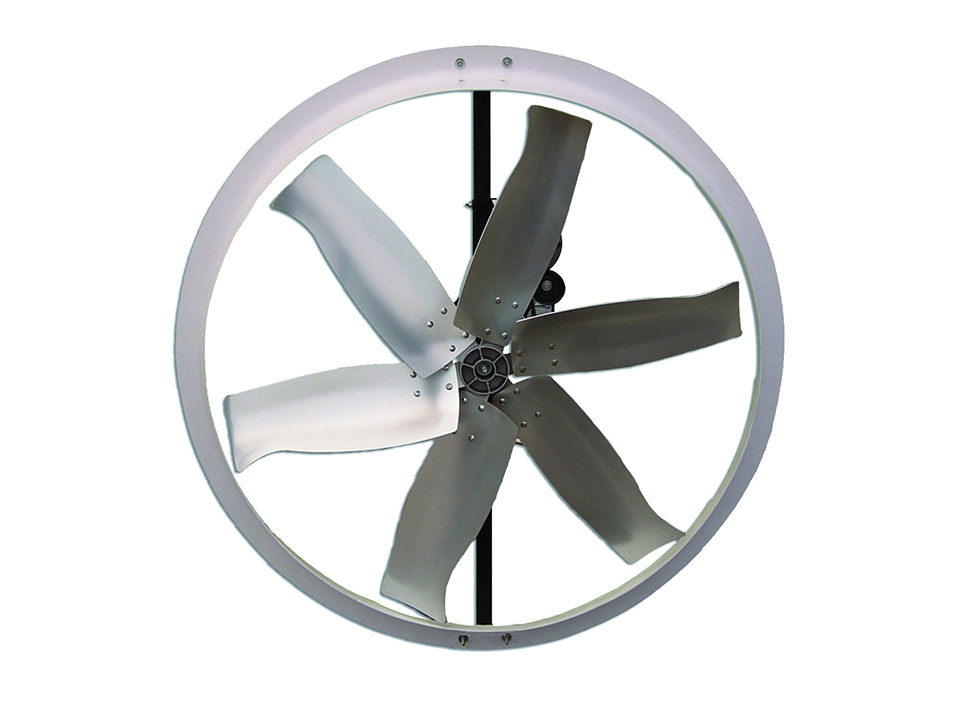 50 "cattle fan